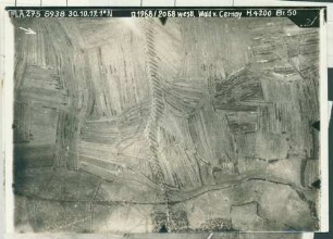 Foto des westlichen Waldes von Cernay(-en-Dormois) (Luftbild)