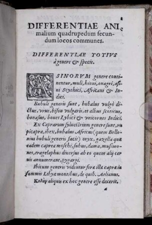 Differentiæ animalium quadrupedum secundum locos communes