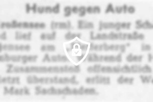Hund gegen Auto