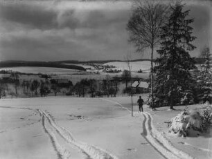 Schneelandschaft : Blick auf eine Schneelandschaft in der Nähe der Talsperre Malter. Im Bildvordergrund Loipen und ein Skilangläufer
