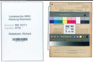Entnazifizierung Richard Wallstroem , geb. 18.08.1890 (Mechanikermeister)