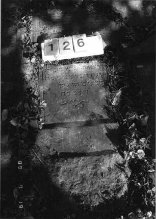 Grabstein 126 (Index: 99796444) Material: Sandstein Zustand: gut Maße HxBxT: 0x0x0 cm Beschreibung: Stele, Sockel Symbolik: Ranke: Grabstein 126