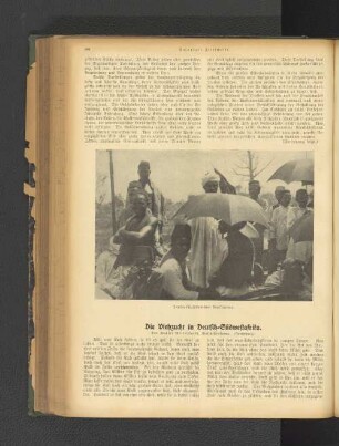 Die Viehzucht von Deutsch-Südwestafrika.