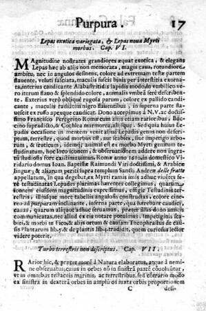 Turbo terrestris non descriptus. Cap. VII.