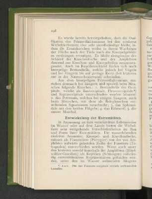 Entwickelung der Extremitäten.