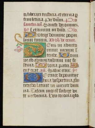 Goldinitiale D