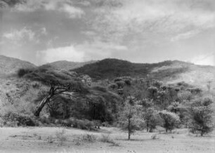 Landschaft : Blick auf die Landschaft und Vegetation im Uluguru-Gebirge