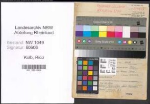 Entnazifizierung Rico Kolb , geb. 24.07.1911 (Ingenieur)
