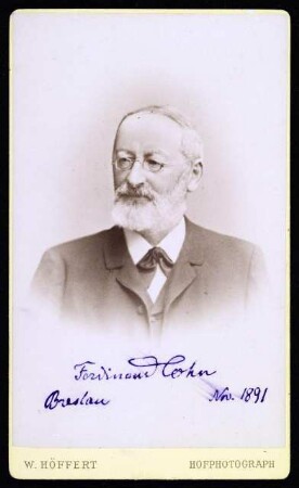 Cohn, Ferdinand