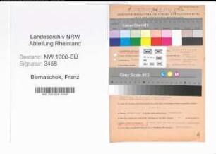 Entnazifizierung Franz Bernaschek, geb. 06.10.1899 (Kaufm.Angest.)