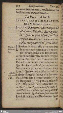 Caput XLVI. Causae Gravissimae Patientiae: & de bono Crucis