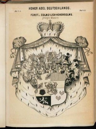 Taf. 125. Fürst z. Solms-Lich-Hohensolms. jetziges Wappen.