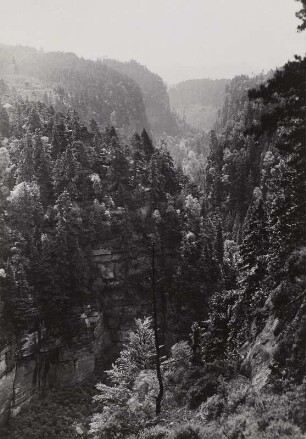Blick von der Nähe Hockstein in das Polenztal nach Süden. Sandsteinkanon