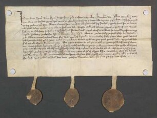 Schiedsrichterlicher Entscheid über einen streitigen Güterbesitz zwischen dem Kloster Odenheim und dem Dorf Zeutern.