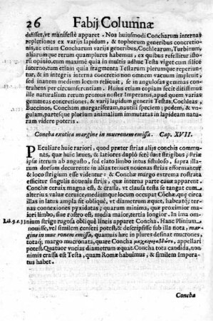 Concha exotica margine in mucronem emissa. Cap. XVII.