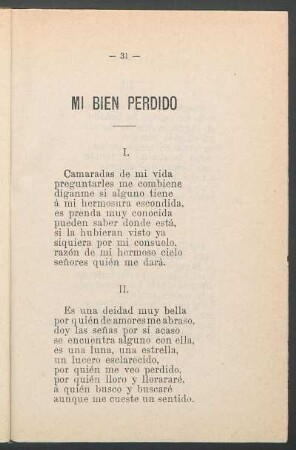 Mi bien perdido