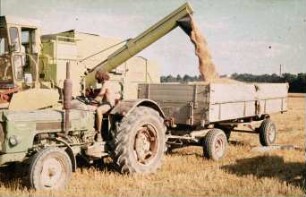 Fotografie: Mähdrusch, Be- und Entladen, Zweiachsanhänger, Transport