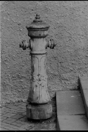 Deutschland, Leisnig, Kr. Döbeln, Hydrant