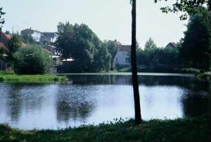 Dorfteich
