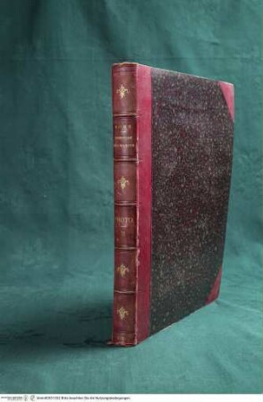 Rome peinture decorative - Rotes Album II (vorwiegend Cappella Sistina, Farnesina)