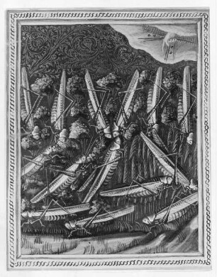 Wenzel-Bibel — ---, Folio 365