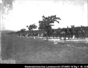 Geländeübung des Feld-Artillerie-Regiments Nr. 46 (Platte auf der Oberfläche beschädigt) Enthält: Soldaten zu Pferd und auf mit Pferden bespannten Geschützlafetten auf dem Marsch auf einem Feldweg