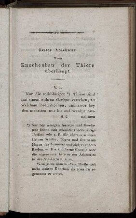 Erster Abschnitt. Vom Knochenbau der Thiere überhaupt