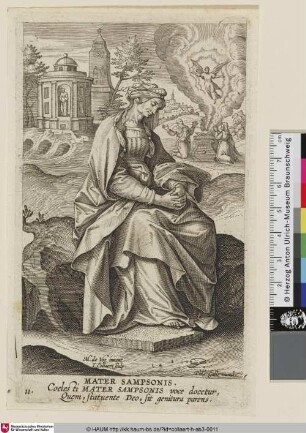 Mater Sampsonis