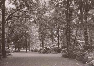 Großer Garten : Reichsgartenschau, Rhododendronhain