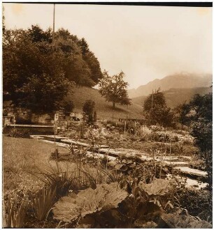 Garten Suidter, Luzern: Blick auf Pflanzgarten