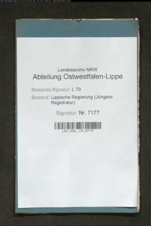 Anstellung der Beamten der Stadt Schwalenberg (Ortsstatut)