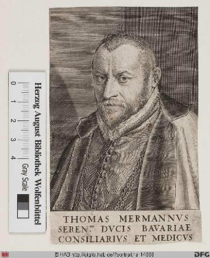 Bildnis Thomas Mermann (von Schönburg zu Aufhofen)
