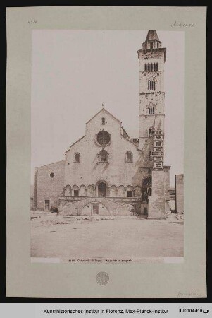 San Nicola Pellegrino, Cattedrale Santa Maria Assunta, Trani