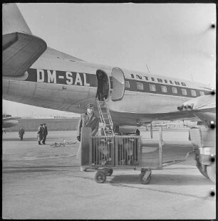 Bärentransport am Flughafen, 1960er Jahre. SW-Foto © Kurt Schwarz.