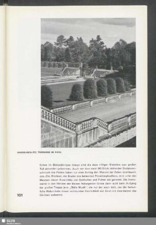 Gross-Sedlitz, Terrasse im Park