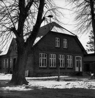 Volksschule: davor Bäume: Winter