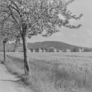 Gröditz am Löbauer Wasser : Gröditz. Ortsansicht