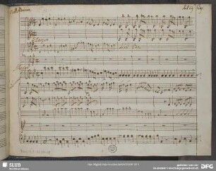 Adriano in Siria. Excerpts - Mus.1-F-82,14-11 : A, strings, bc