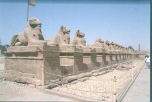 Allee mit Widder-Sphingen : Ägypten. Luxor. Luxor-Tempel (1551ante/1080ante). Allee mit Widder-Sphingen