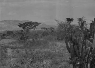 Landschaft : Landschaft in der äthiopischen Provinz Sidamo