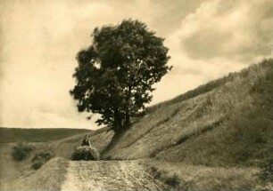 Am Münchhof