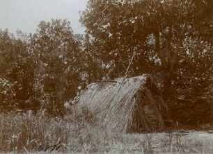 "Hütte. Tanna."