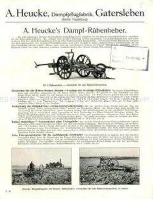 Dampf-Rübenheber