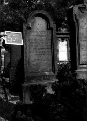 Grabstein 55 (Index: 100109984) Material: Sandstein Zustand: leicht verwittert Maße HxBxT: 156x49x20 cm Beschreibung: Stele, Sockel, eingezogener Rundbogenabschluß, Schriftfeld eingetieft: Grabstein 55