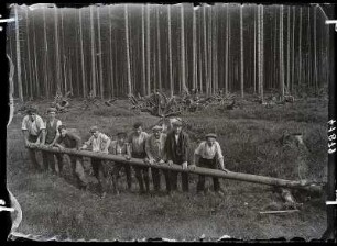 Beim Stöckeroden mit Hebebaum bei Raschau/Erzgebirge : Beim Stöckeroden mit Hebebaum bei Raschau/Erzgebirge