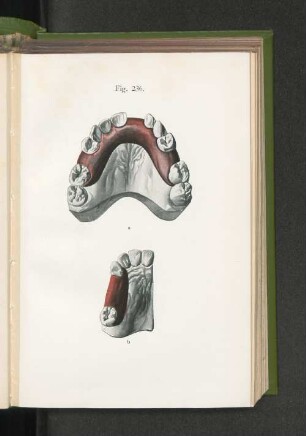 Fig. 236.