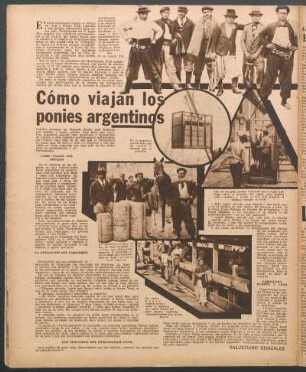 Cómo viajan los ponies argentinos