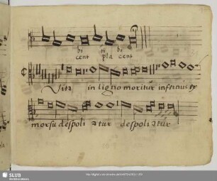 [Senfl, Ludwig:] Vita in ligno moritur