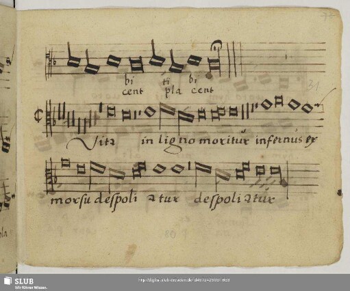 [Senfl, Ludwig:] Vita in ligno moritur