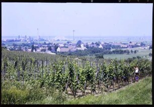 Seefelden: Weinberge, Hintergrund Kaliwerk Buggingen